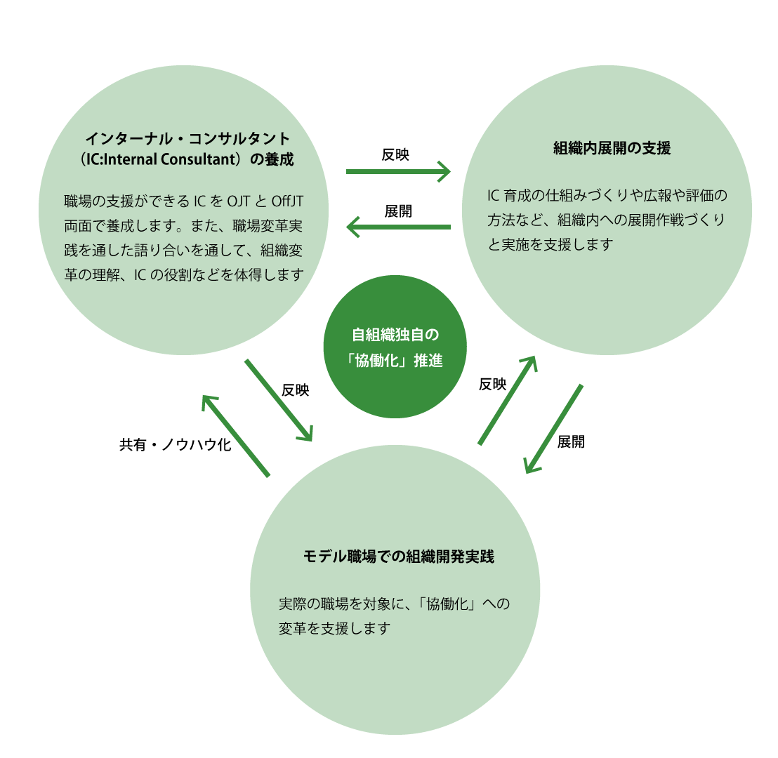 職員による主体的な運営・成長の仕組みづくりを 目指した３つのコンテンツ